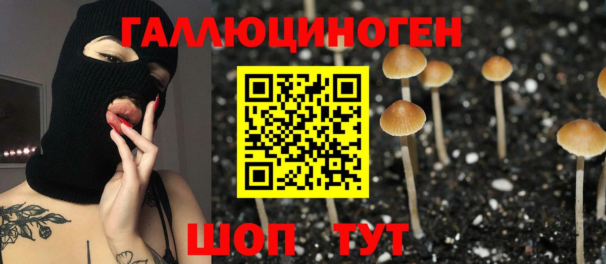 Псилоцибиновые грибы ЛСД  Вход с VPN  Пыть-Ях  Галлюциногенные грибы Cubensis 